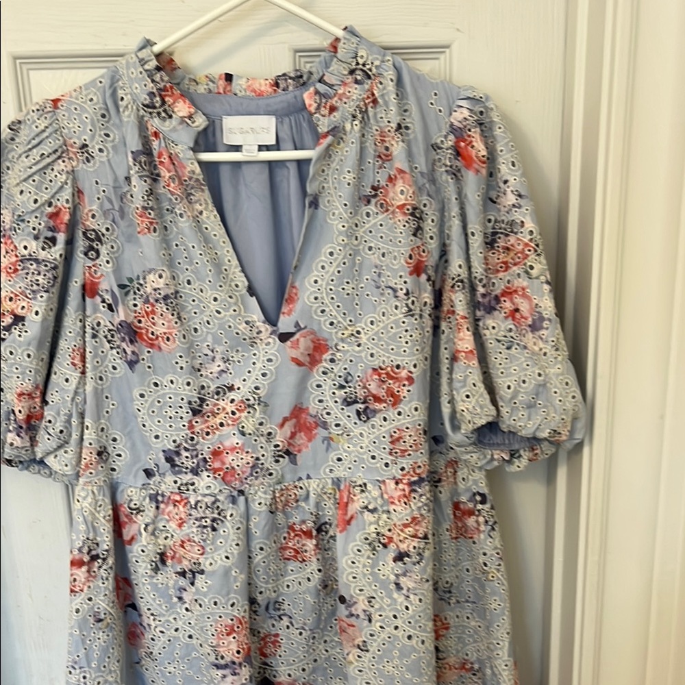 Floral Eyelet Dress in Blue and Red Sugar Lips Dress